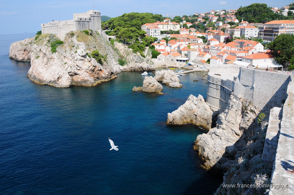 Dubrovnik - Croazia537DSC_3521.JPG